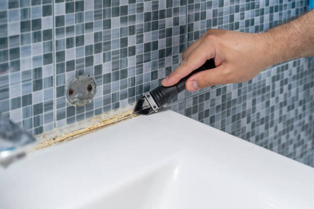 Best Local Mold Removal Service  in Gotha, FL